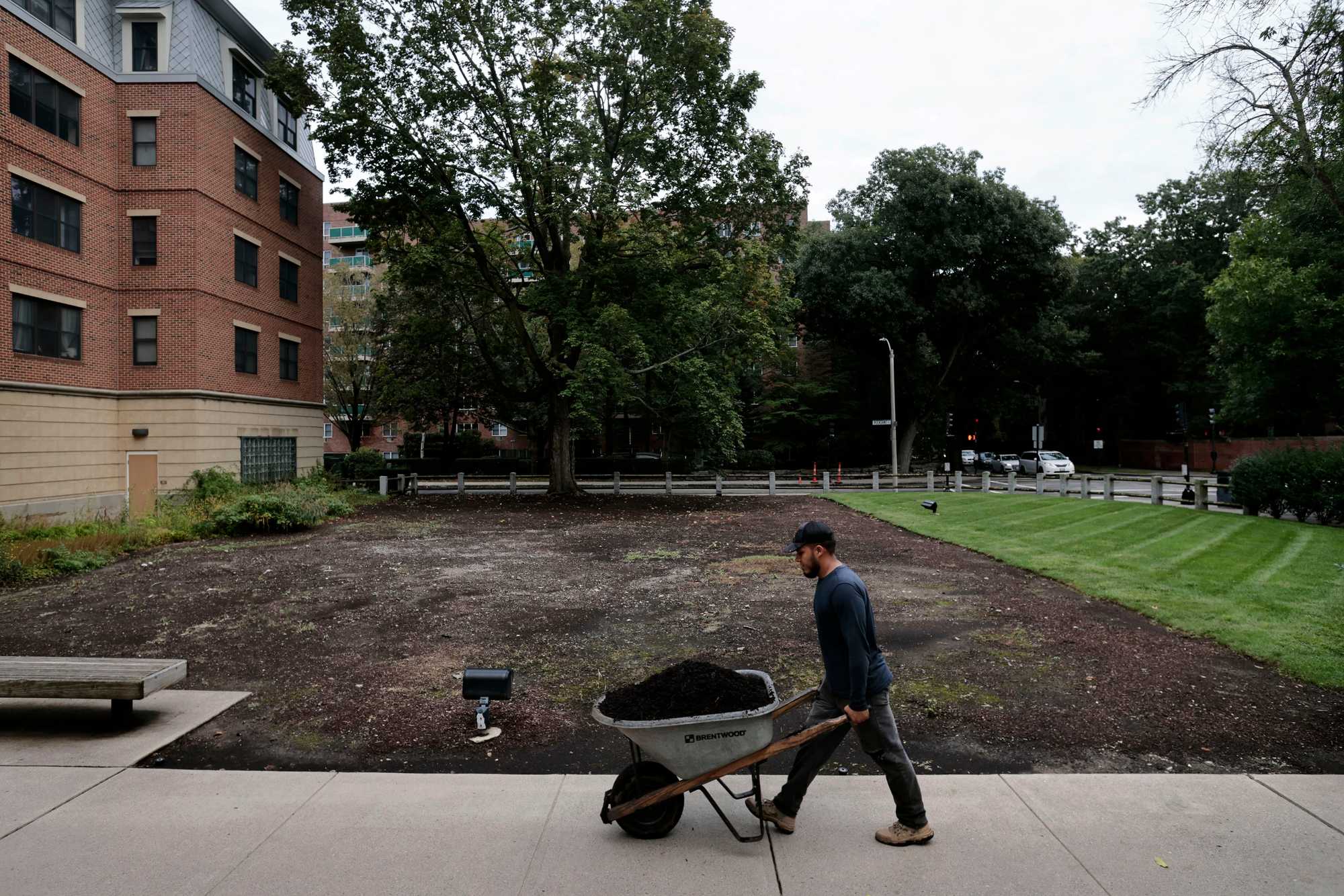 The site where the “The Million Dollar Tree” once stood at St. Aidan’s in Brookline. (Craig F. Walker/Globe Staff) 