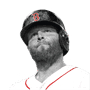 Pedroia