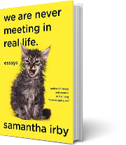 A book cover for We Are Never Meeting in Real Life