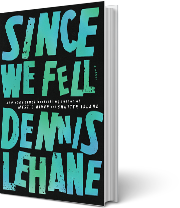 A book cover for Since We Fell