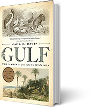 A book cover for The Gulf: The Making of an American Sea