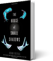 A book cover for The House of Small Shadows