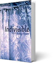 A book cover for Indivisible