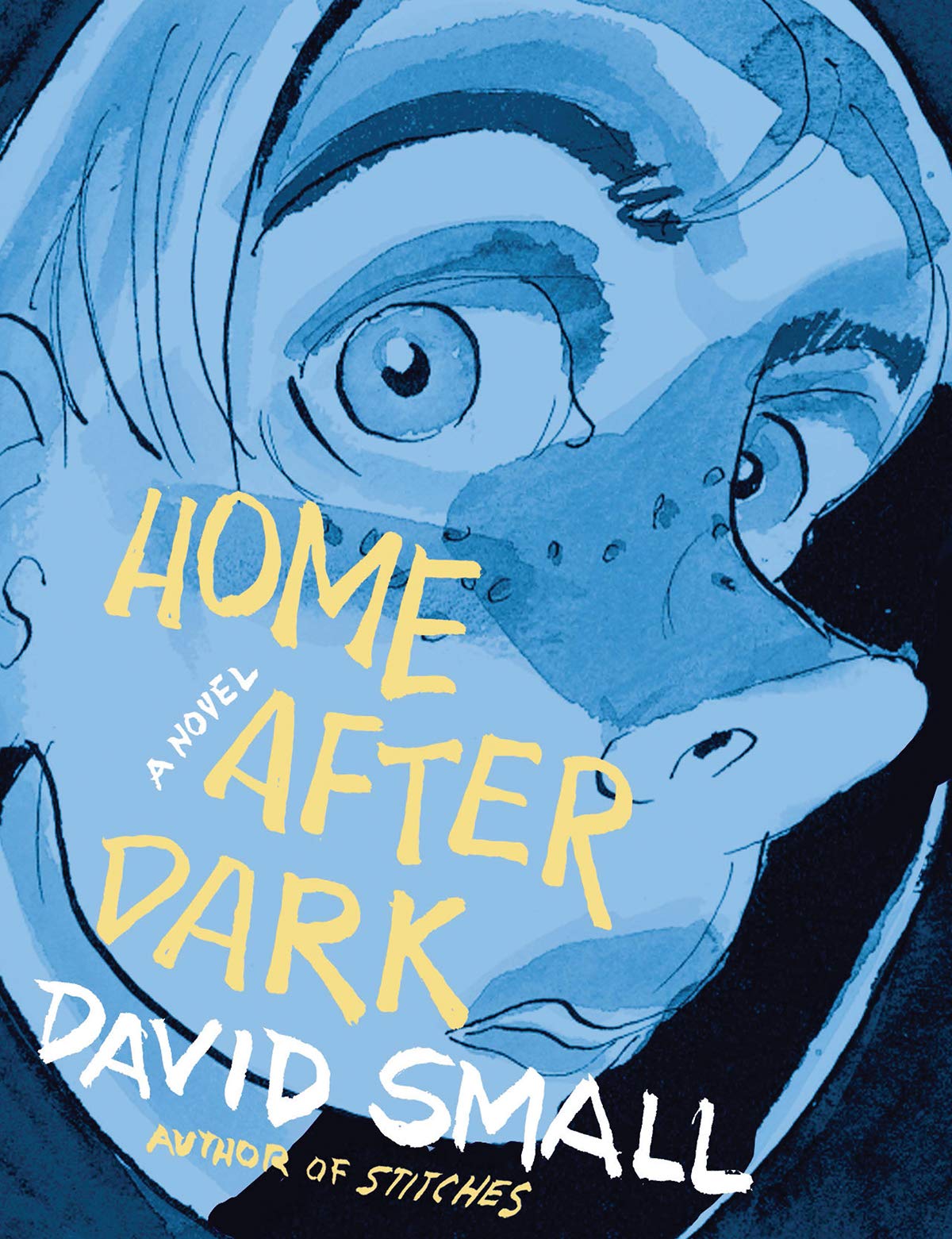 A book cover for Home After Dark
