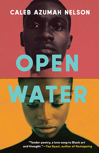 A book cover for Open Water