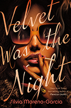 A book cover for Velvet Was the Night