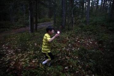 Strider held out a small lantern as he played in the woods outside of the camper. In spite of everything, he was imaginative and playful, running through the woods and climbing trees most evenings until his grandmother called him in for dinner.