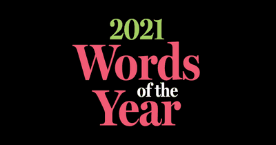 Preview image for 2021 Words of the Year