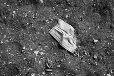 Preview image for What we lost, what we found