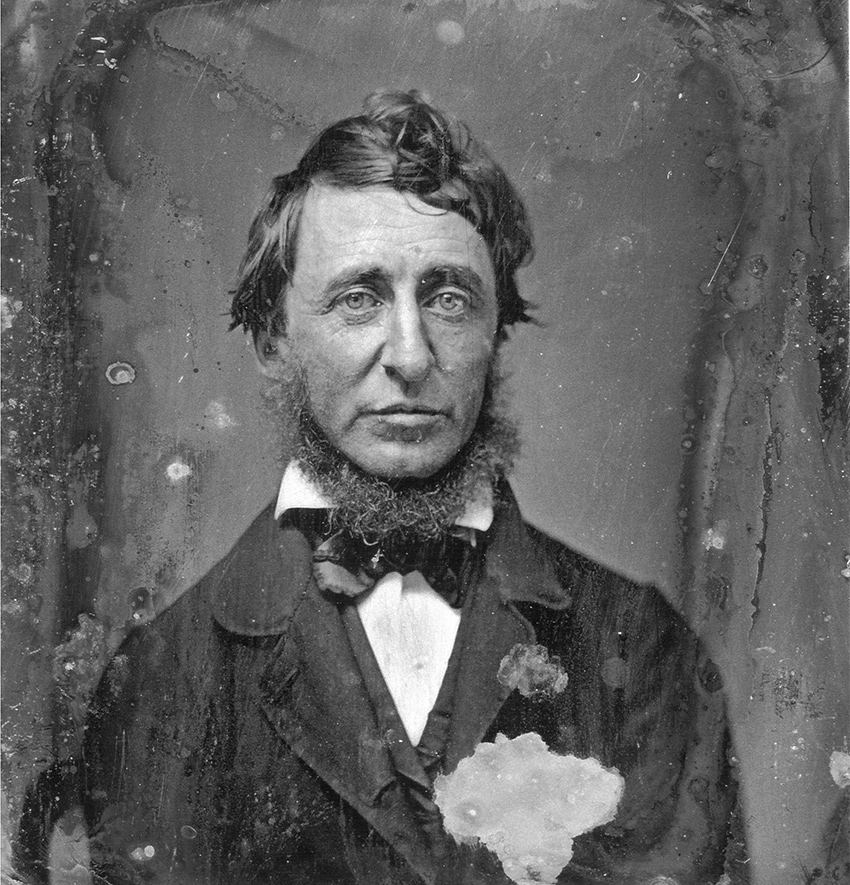  Henry David Thoreau