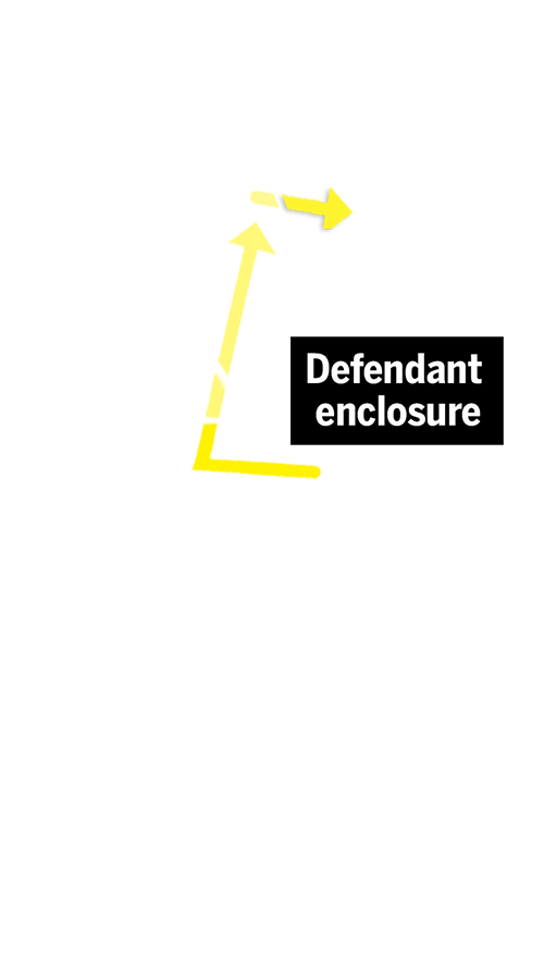 A yellow arrow shows the way from the enclosure to an area downstairs