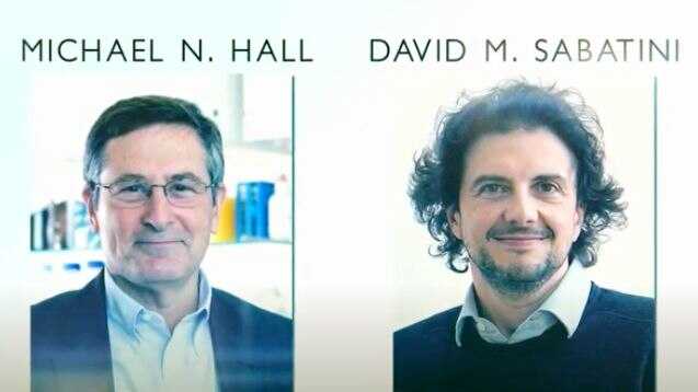 The Sjöberg Prize 2020 went to David Sabatini (right) as well as Michael N. Hall from the Biozentrum in Basel, Switzerland. They jointly received the award ”for their discovery of mTOR and its role in the control of cell metabolism and growth.”