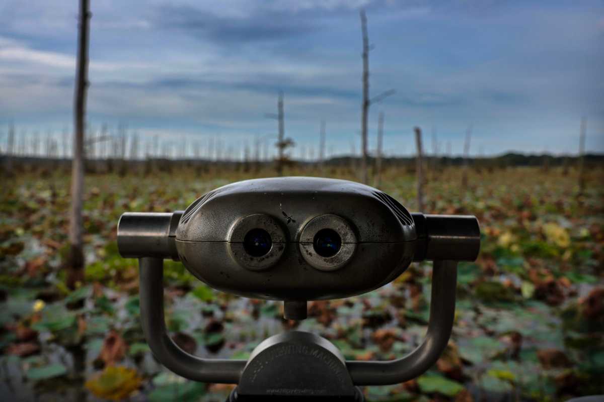 A viewfinder at Black Bayou Lake National Wildlife Refuge in Monroe, LA on August 29, 2024.