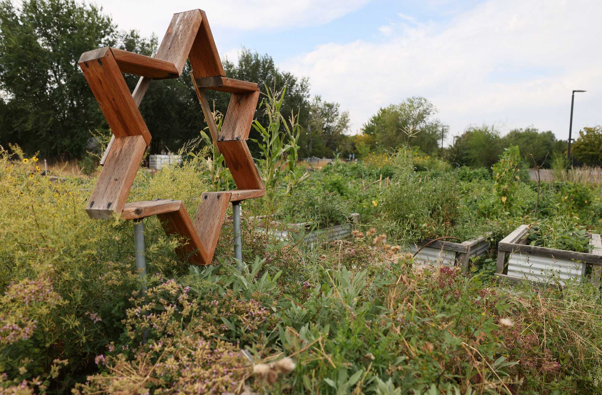 A Star of David in a community garden at Congregation Ahavath Beth Israel, where congregants have worked with immigrants to give them a place to grow food. 