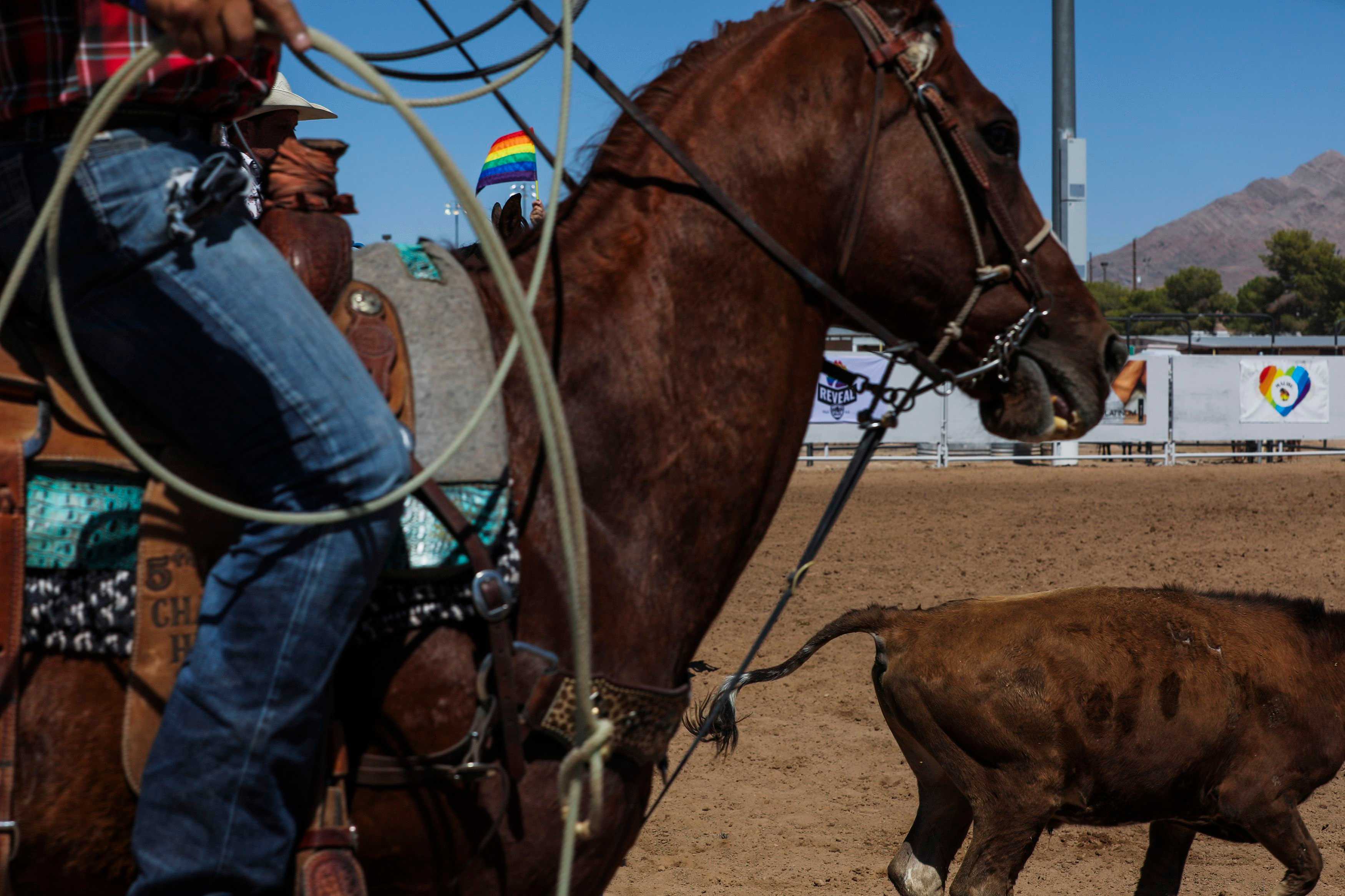 A rodeo judge held a rainbow flag during the calf roping on foot competition Nevada Gay Rodeo Association’s BigHorn Rodeo.