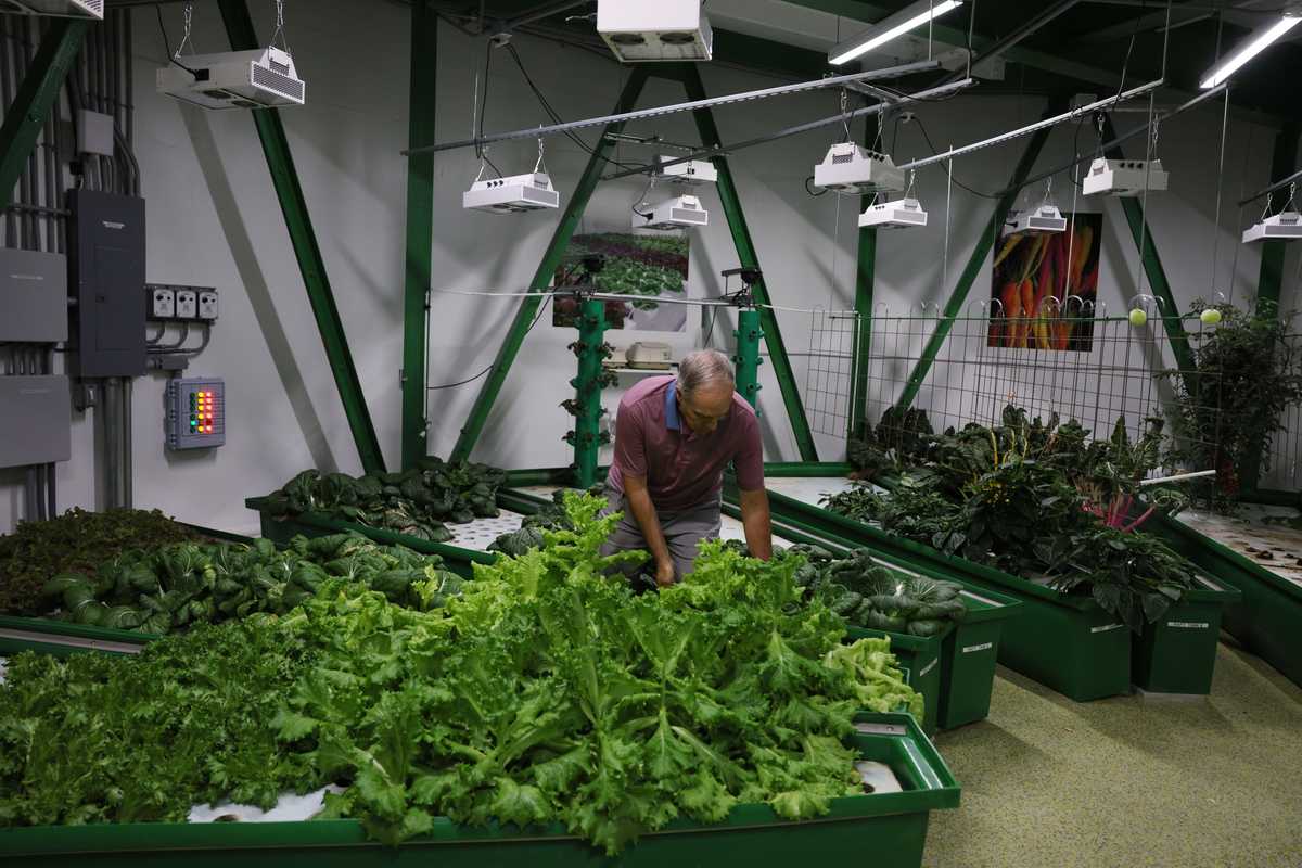 Mark Menosky, project manager of the Survival Condo, showed off the fresh lettuce grown inside the site’s hydroponic farm.  The Survival Condo is a decommissioned nuclear missile vault that has been turned into luxury condos, where owners hunker down when and if a doomsday scenario occurs.
