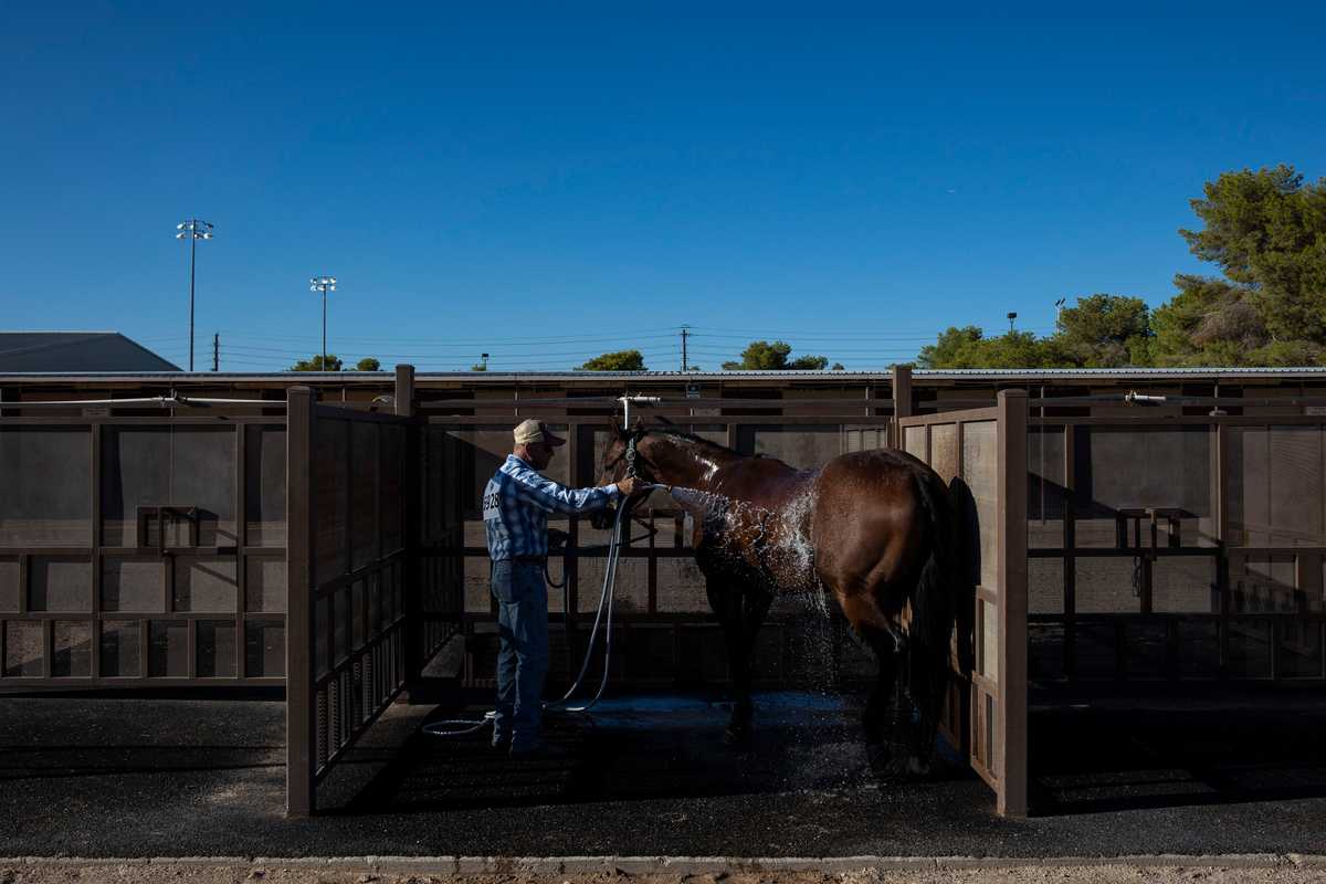 Ken Smith gave his horse a bath after competing in the rodeo. Smith, who doesn’t currently own any horses of his own, borrows his horse from a friend so he can compete in the rodeo. 

