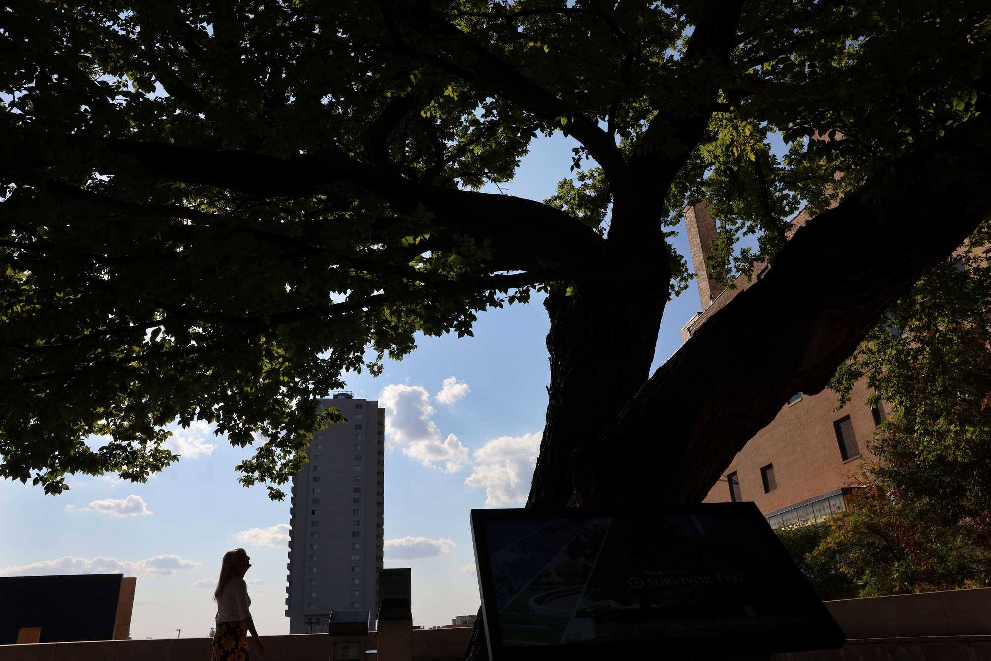 Aren Almon visited the Survivor Tree at the memorial in early September. Her daughter Baylee was the child in the photograph with the firefighter.