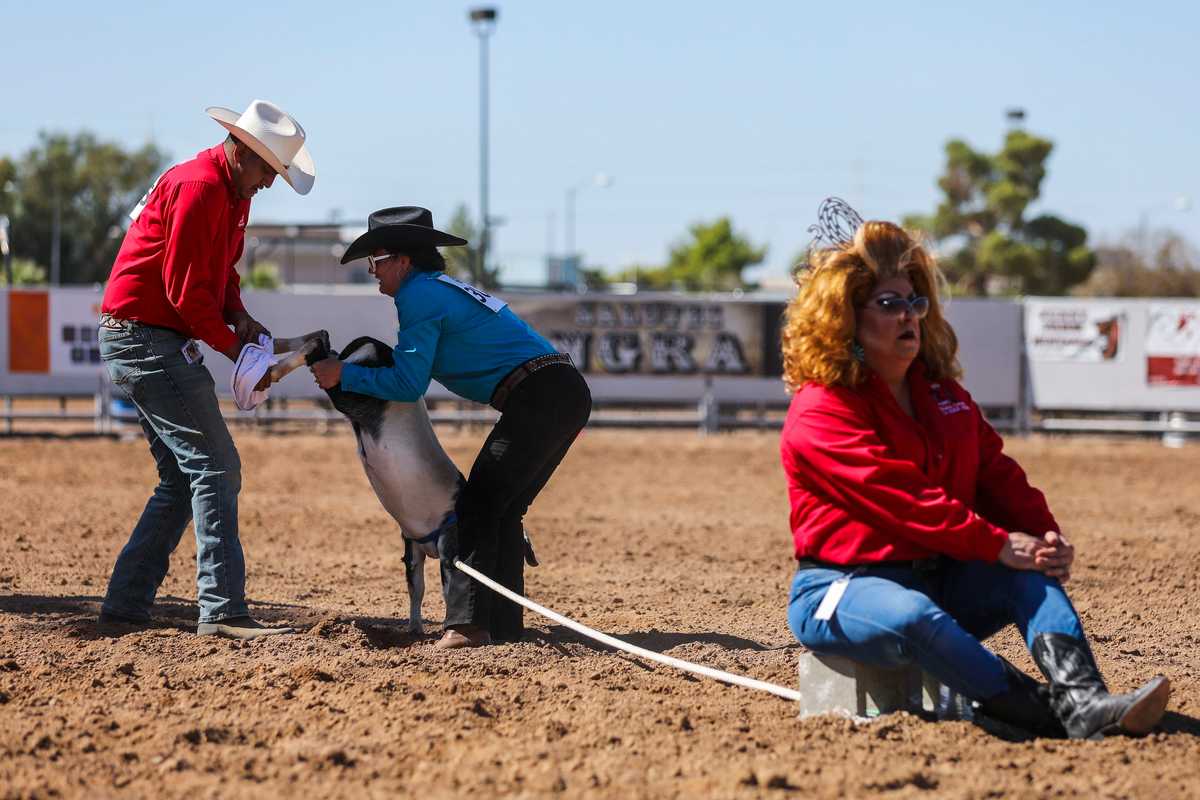 Contestants attempted to put a pair of underwear onto a goat during the Goat Dressing competition. A drag queen sat nearby, anchoring the rope that the goat was tied to. 