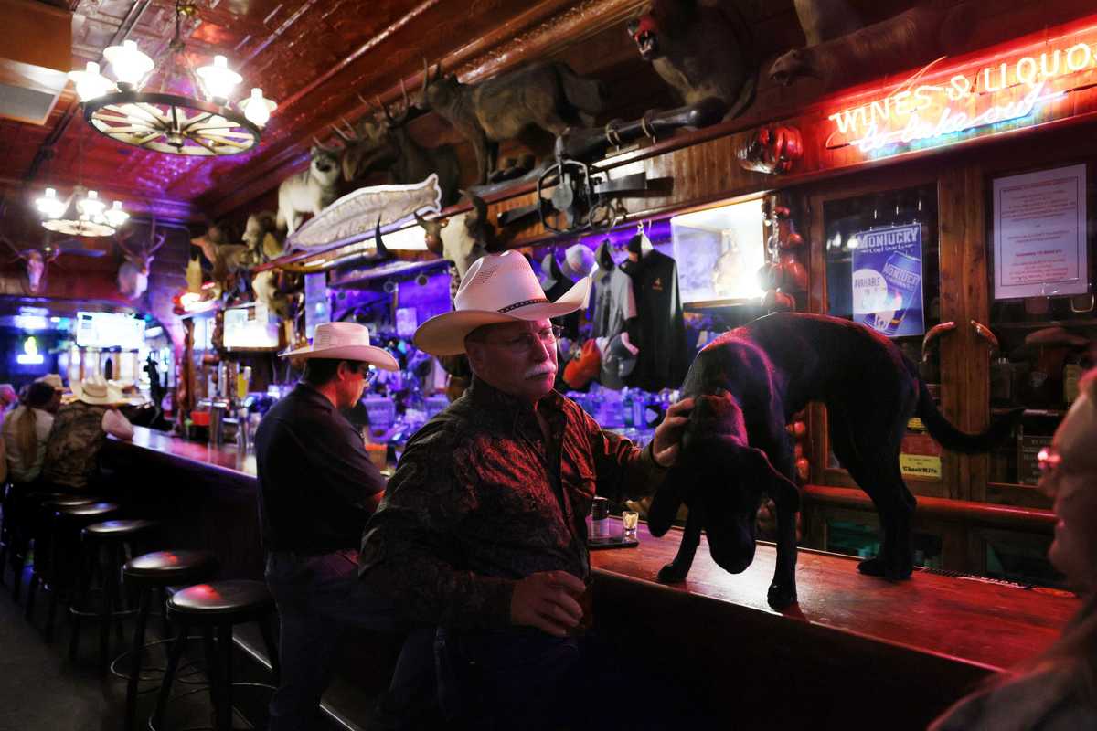 Tom McConnell petted Sadie as she wandered along the bar inside The Mint Bar, which has been serving customers since 1907 in Sheridan, Wyo., on Sept. 13.  