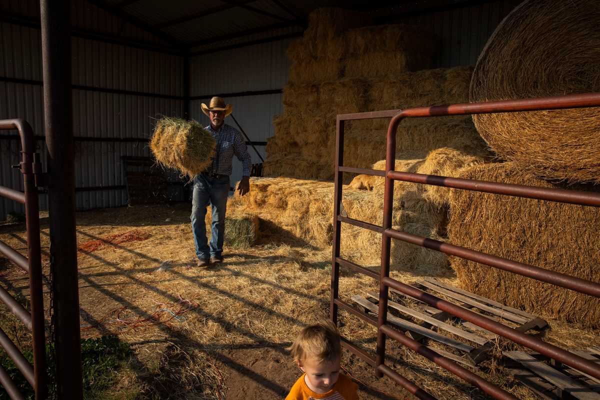 Brad Booze carried a bale of hay to feed his horses on a September day on his ranch in Miami, Texas. 