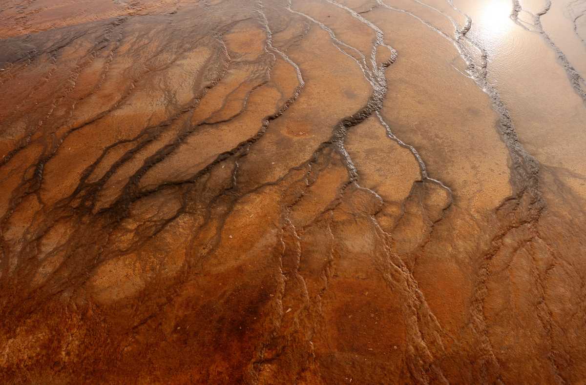 Water from the Grand Prismatic Spring flowed through the habitat for microscopic organisms called thermophiles. The trillions are grouped together and appear as masses of color.