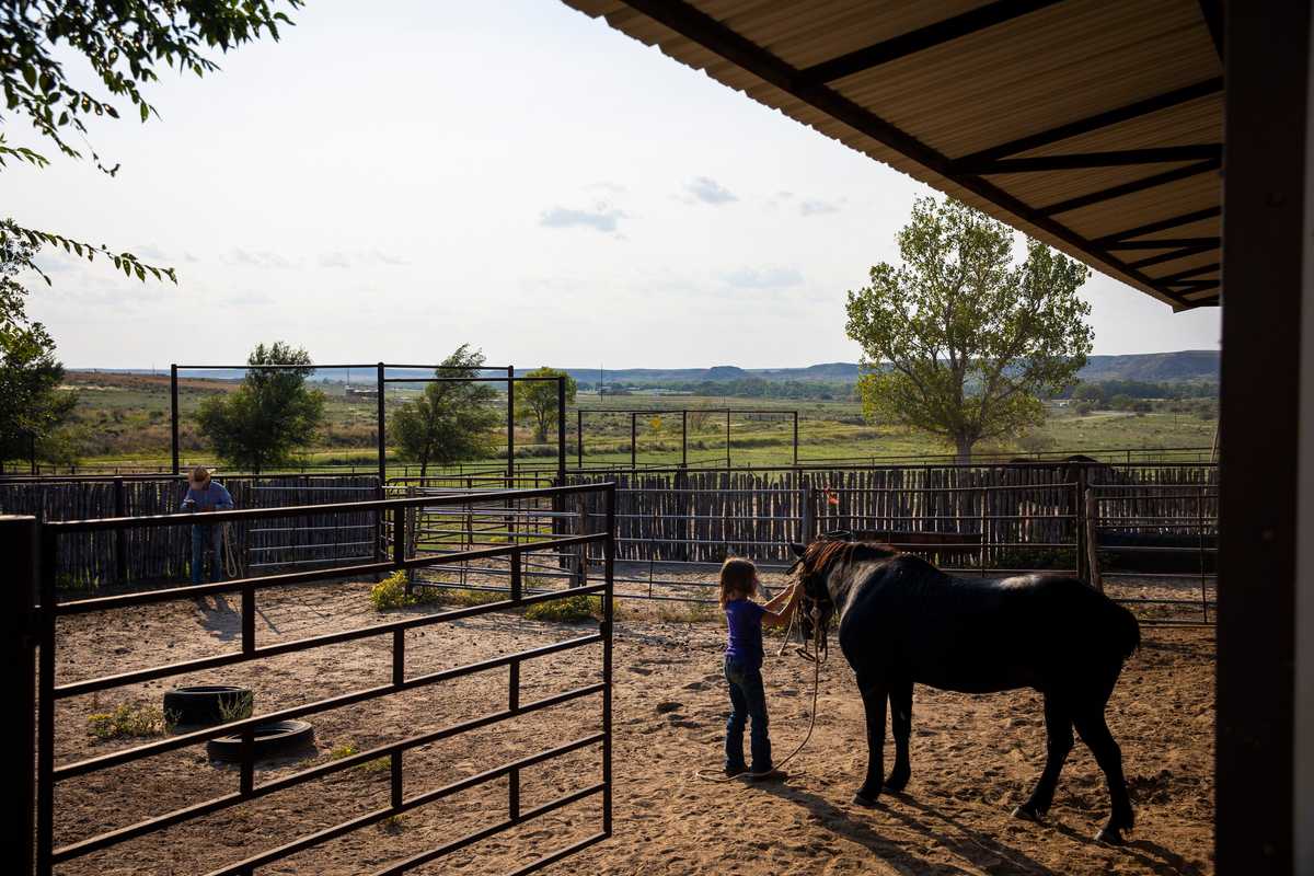 Sloane Booze removed the tack from her horse after riding.